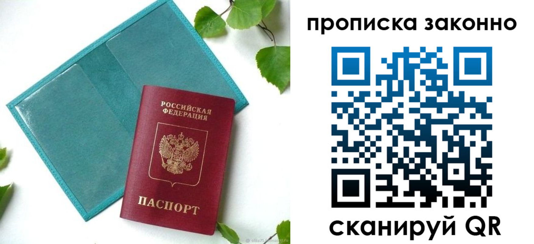 прописка штамп в Лузе